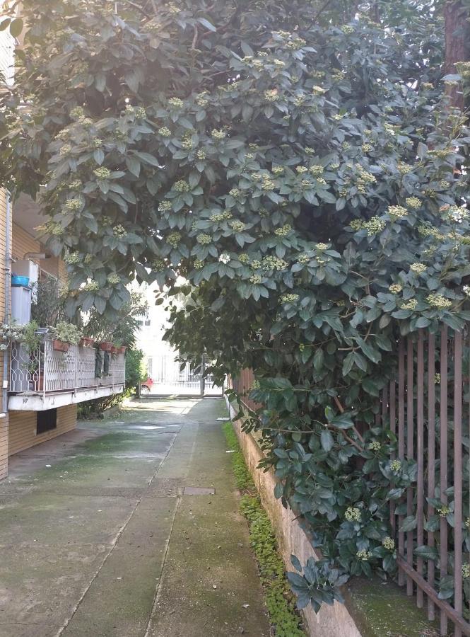 Le Stanze Di Ginevra - Via Tescione Hotel Caserta Luaran gambar